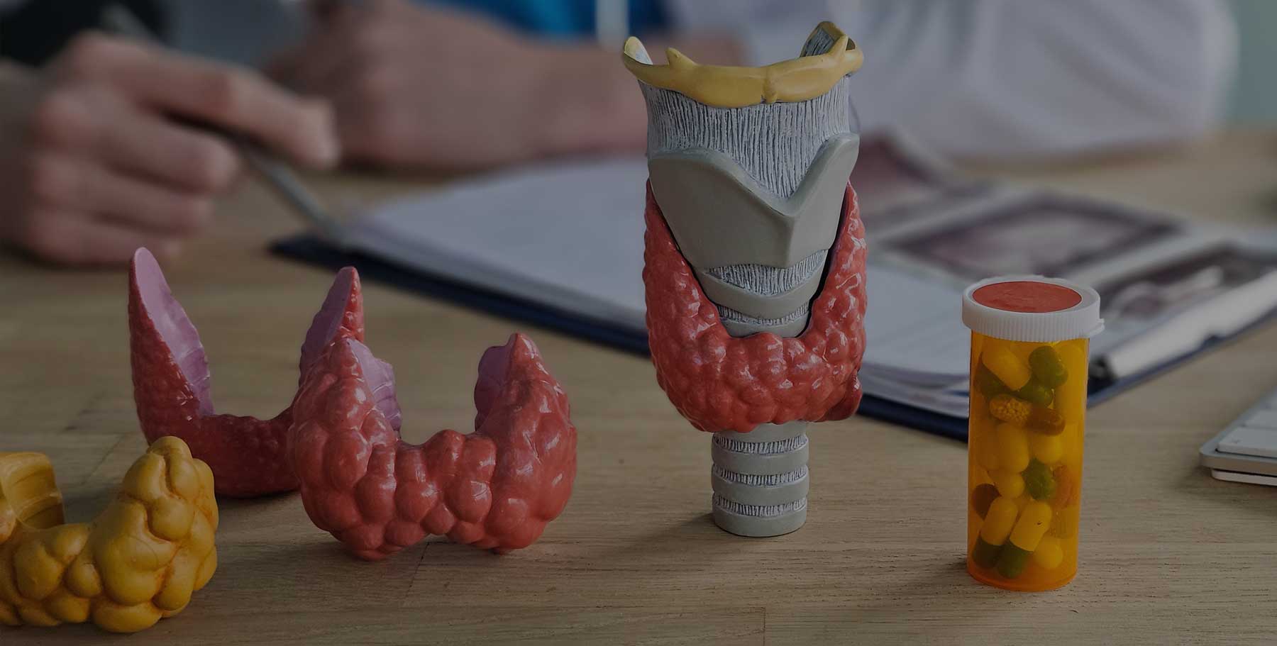  supplements-hashimotos-thyroid-labs 